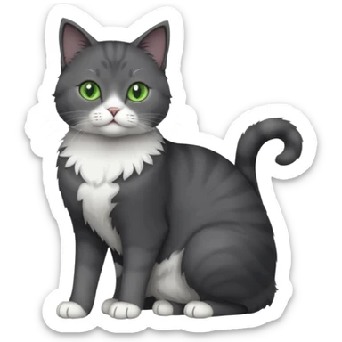 full body view of beautiful female solid dark grey cat with green eyes, white toes/paws and white patch on her chest sticker