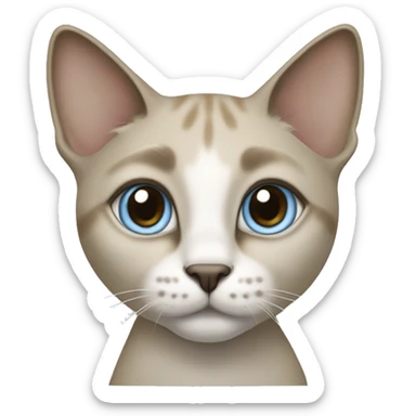 Thai breed adult cat with a light cream-brown body, dark gray nose and face, ears, and paws. sharp ears, and striking light blue eyes  sticker