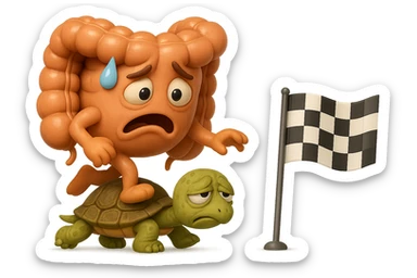  EMOJI STILE IPHONE 3D DI UN INTESTINO CON ESPRESSIONE ANGOSCIATA CHE CAMMINA SUL GUSCIO DI UNA TARTARUGA IN ATTESA ESTENUANTE DI RAGGIUNGERE UN TRAGUARDO POCO PIù AVANTI, SULLA LORO DESTRA. IL TRAGUARDO è UNA BANDIERA A DUE PIEDI CON FASCIA A SCACCHI BIANCHI E NERI. iperrealistico 4k sticker