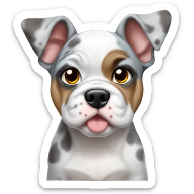 fawn-blue merle bulldog puppy sticker