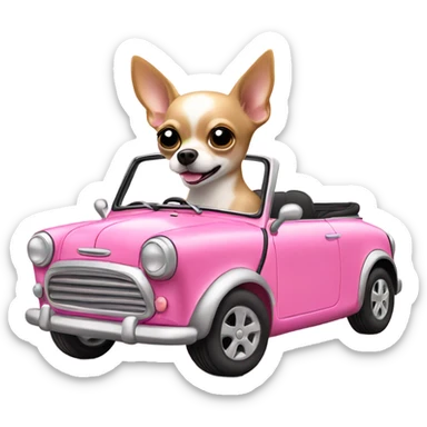 Chihuahua driving pink mini cooper sticker