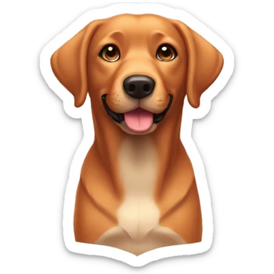 Labrador foxred  sticker