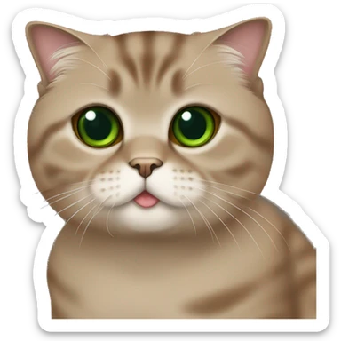 Brown scottish fold cat with green eyes  sticker