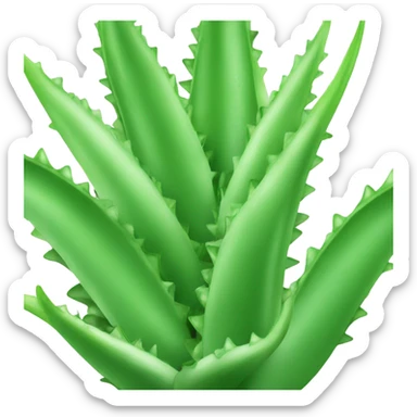 Aloe Vera  sticker