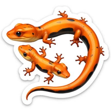 Salamander sticker