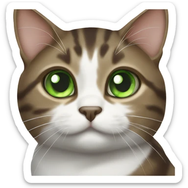 Dark Brown and white tabby cat with green eyes sticker