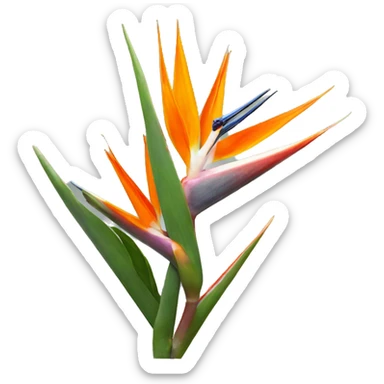 Strelitzia  sticker
