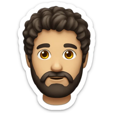 dark-brown-beard-hair-and-eyes-developer sticker