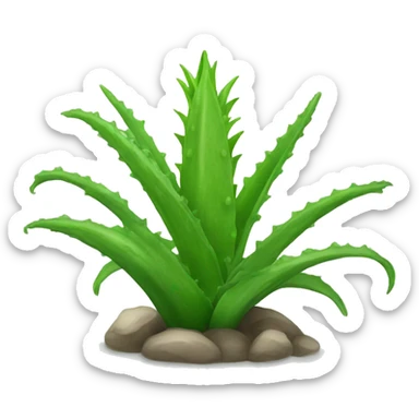 Aloe vera sticker
