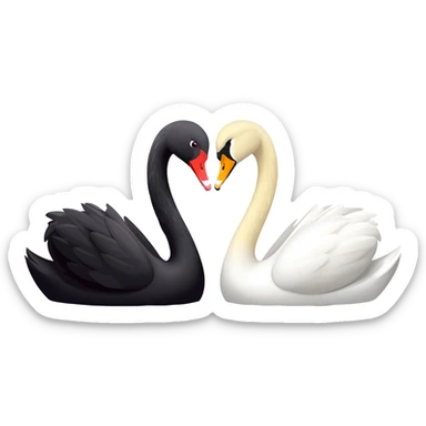 Black swan and pure white swan Two swan looking face each other  affection floating sticker