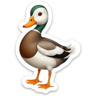 Dutch Hookbill Duck sticker