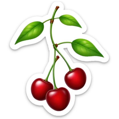 A pair of glossy red cherries with green stem and leaf sticker