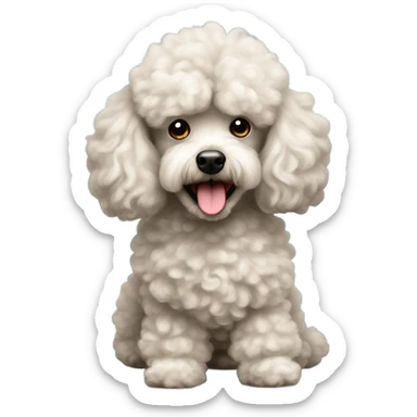 Miniature poodle sticker
