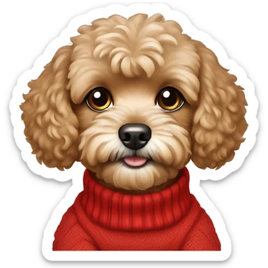 Dog brown Maltipoo wearing red pullover  sticker