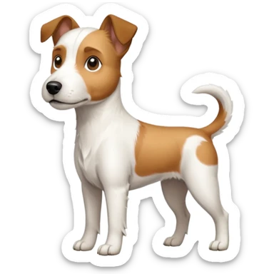 a full body large white parson russell terrier looking dog the size of a kelpie with light brown big ears and a light brown patch on one eye and a large snout sticker