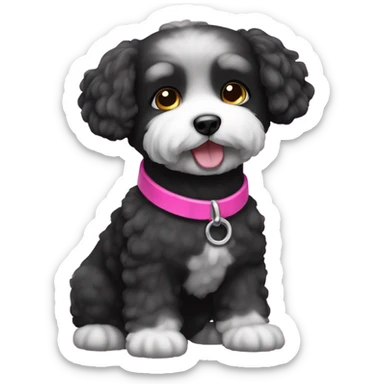 Black bichon dog with a pink collar sticker