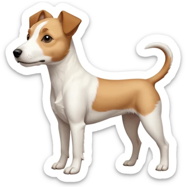a full body facing front on of a buff white parson russell terrier looking dog the size of a kelpie with light brown long ears resting on its face and a light brown patch above one eye and a large snout. the rest of the dog is completely white.  sticker