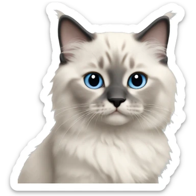 blue colorpoint ragdoll kitten sticker