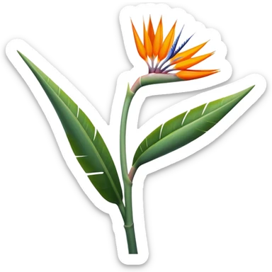 single Strelitzia Reginae, straight stem sticker