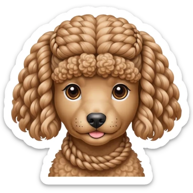 Miniature poodle with braids on its head sticker