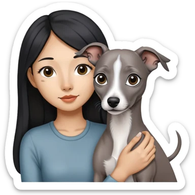 Slim Chinese girl with long black hair holding solid grey Italian greyhound with no white markings on nose sticker