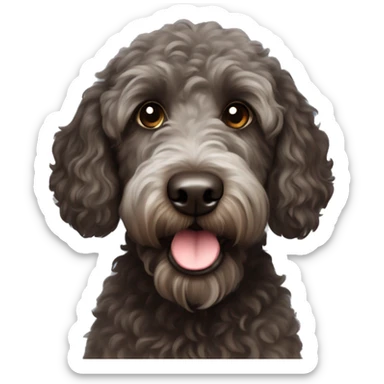 A dark brown small labradoodle with a few grey hairs  sticker