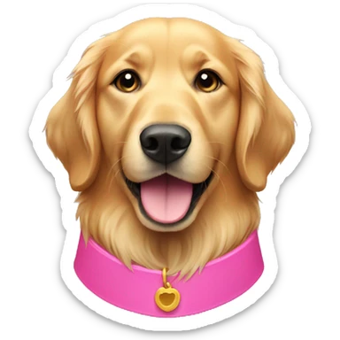 Golden retriever with a pink collar  sticker