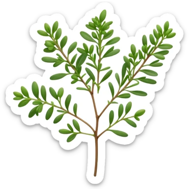 Cinematic Realistic Thyme Emoji, Compact and earthy, with tiny green leaves densely packed on delicate stems. The soft fragrance of the leaves fills the air, creating an atmosphere of warmth and subtle richness. Soft glowing outline, capturing the essence of simplicity and natural healing in a sprig of thyme! sticker