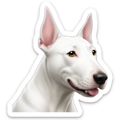 Completely White bull terrier with pointy ears sticker