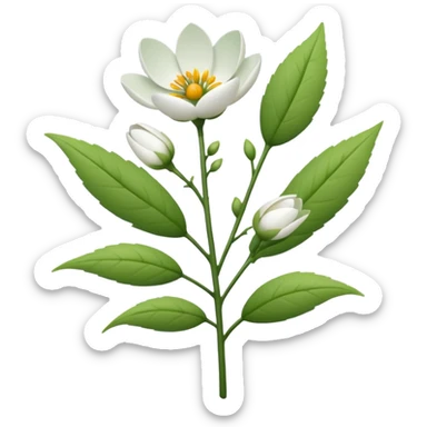 simple flower branches sticker