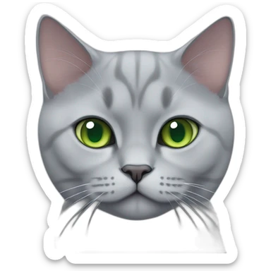 lilac british shorthair cat with green eyes sticker