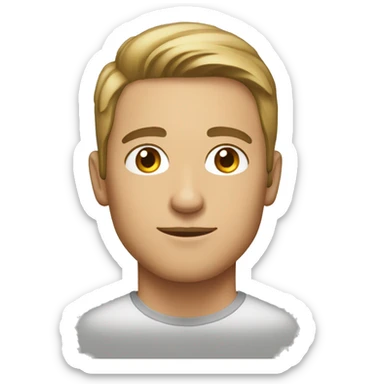 profile picture of a young man, fit, old money clothes, brown eyes, brown/blonde hair sticker