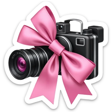 pink bow and camera sticker