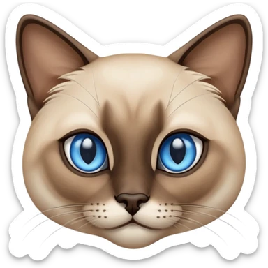 Chat siamois aventurier  sticker