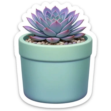 A pastel blue ceramic pot, cylindrical in shape, with a shallow rim, containing a Graptopetalum succulent plant. sticker