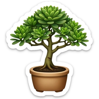 Plant with tubular dark green leaves (Crassula Ovata Golum) with the appearence of a bonsai sticker