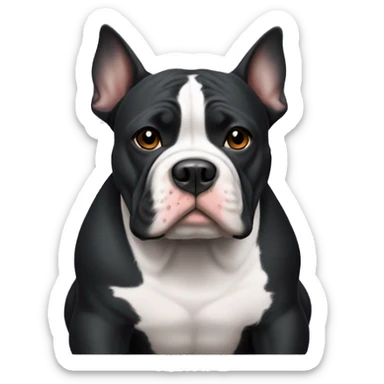 Black American Pocket Bully with white patch on chest sticker