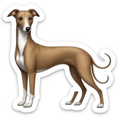 brindle Greyhound sticker