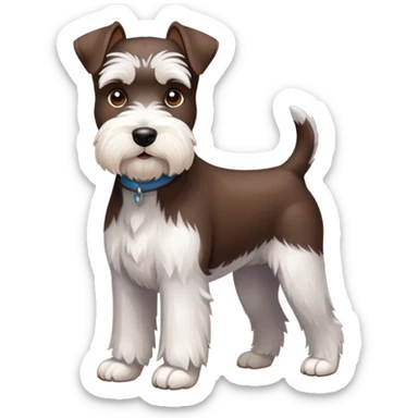 Chocolate and white schnauzer standing sticker