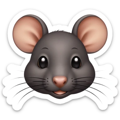 All black rat with the inscription “I ❤️ Stevie” sticker