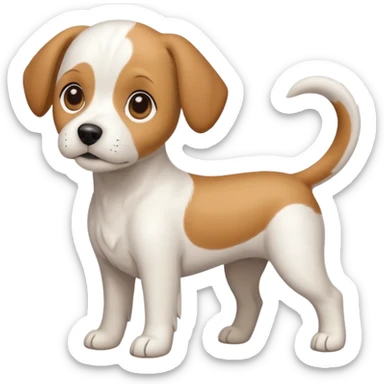 a full body white beagle x maltese x chi dog the size of a kelpie with light brown ears and a light brown patch on one eye sticker