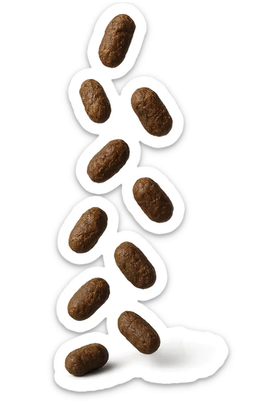 FECI DI ANIMALE A PALLINI CADONO DALL'ALTO, IPERREALISTICO 4K sticker