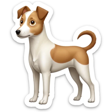 a full body large white parson russell looking dog the size of a kelpie with light brown flapped down ears and a light brown patch on one eye and a large snout sticker