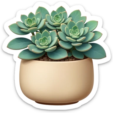 Sedum Pachyphyllum succulent with chubby blue-green leaves in a beige ceramic pot sticker