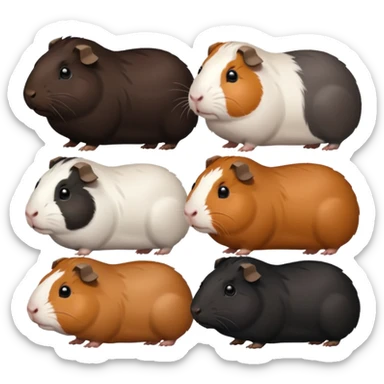 a group of 8 guinea pigs 2  big and creme colour 2 big and black 1 small black white and brown 1 small black and brown 1 small white and 1 small creme  sticker
