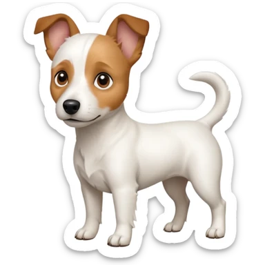a full body white jack russel looking dog the size of a kelpie with light brown ears and a light brown patch on one eye and a large snout sticker