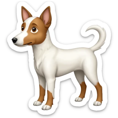 a full body large white floppy eared parson russell looking dog the size of a kelpie with light brown ears and a light brown patch on one eye and a large snout sticker