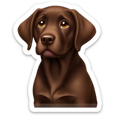 Chocolate lab puppy sticker