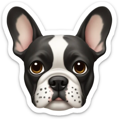 French bulldog with white spots on the face sticker