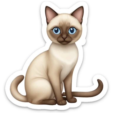 
Siamese cat sticker